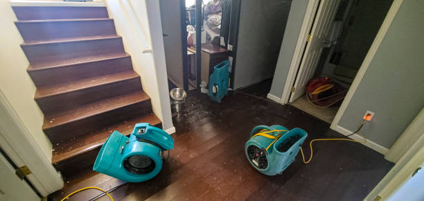 Best Residential water damage restoration  in Hawi, HI