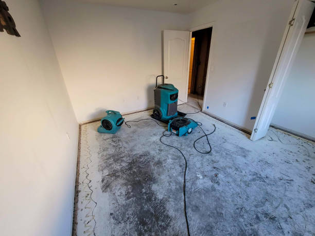 Best Mold removal after water damage  in Hawi, HI