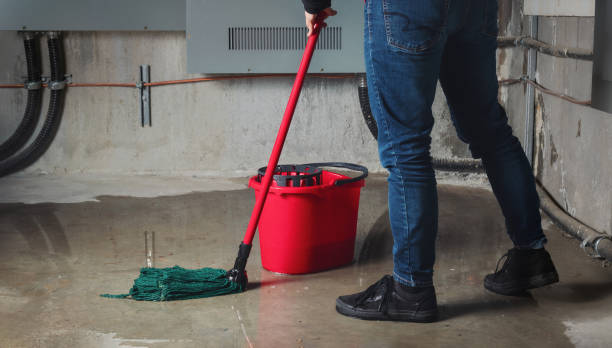 Best Water damage restoration near me  in Hawi, HI