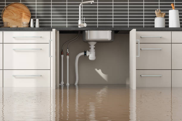 Best Water damage restoration near me  in Hawi, HI