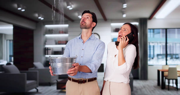  Hawi, HI Water damage restoration Pros